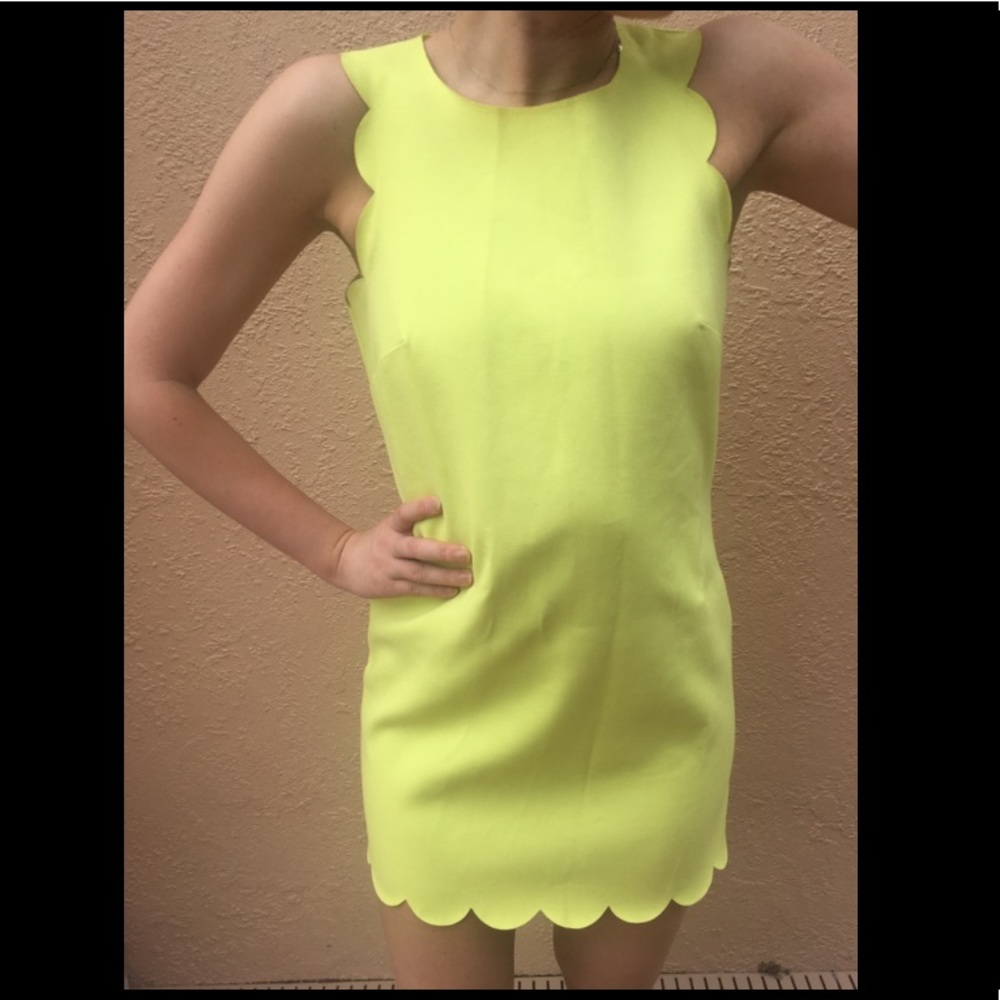 J. Crew Scallop Mini